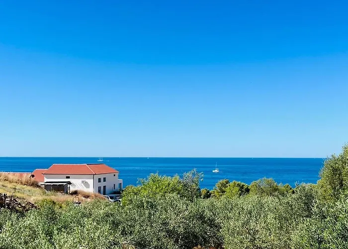 Mansion Hvar Couette-café Malo Grablje