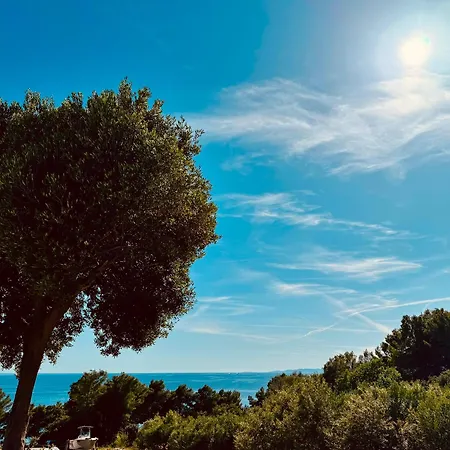 Mansion Hvar フヴァル