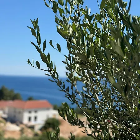 Mansion Hvar *