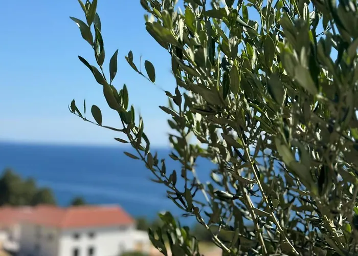 Mansion Hvar 4*